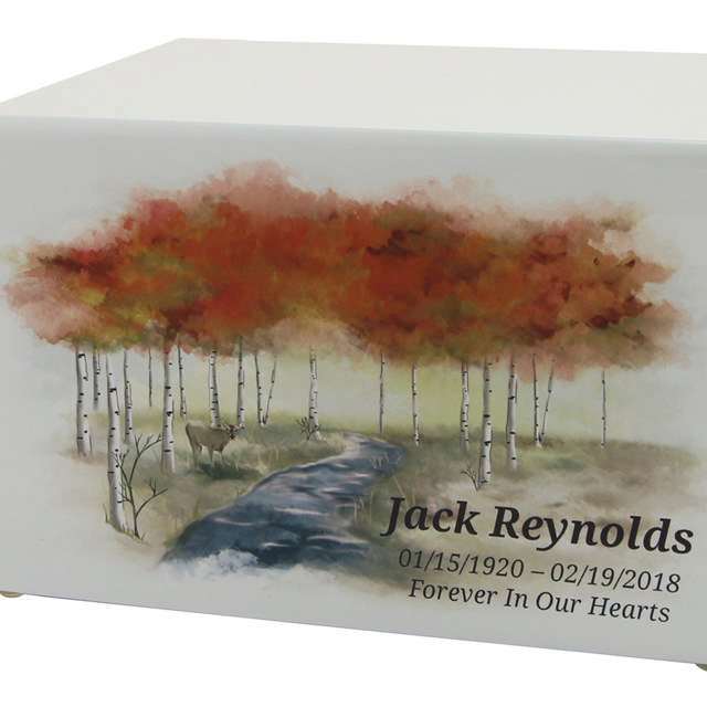 Somerset Autumn Forest