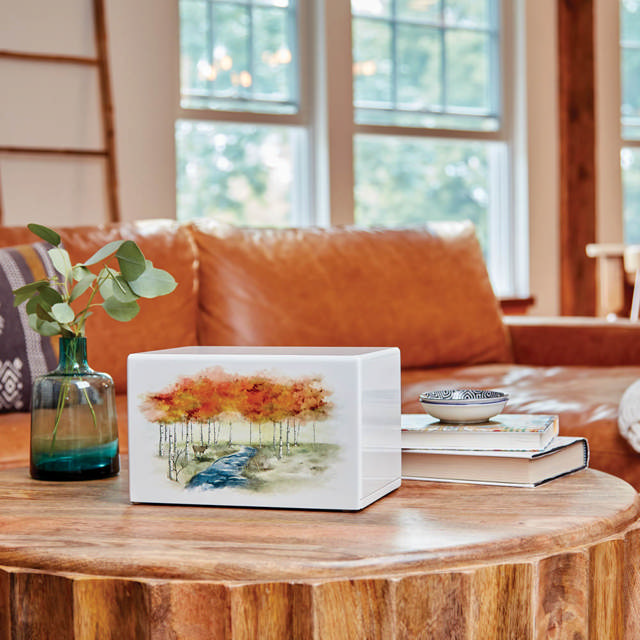 Somerset Autumn Forest