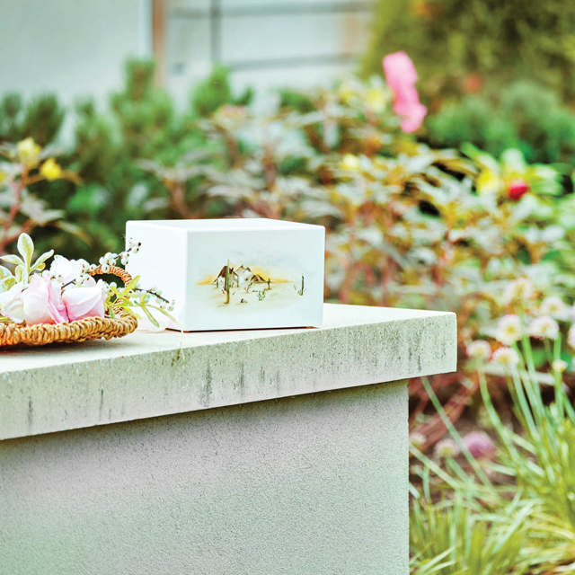 Somerset Desert Sunrise