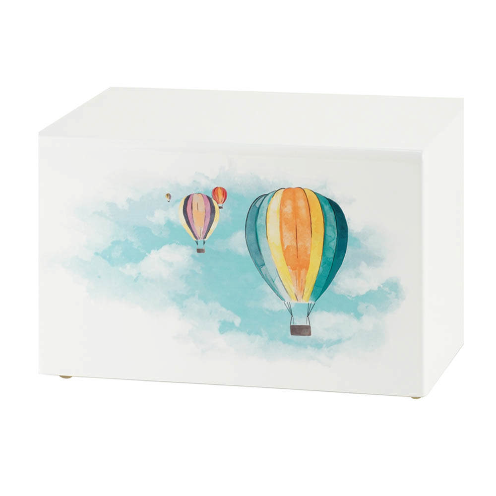 Somerset Balloon Ride