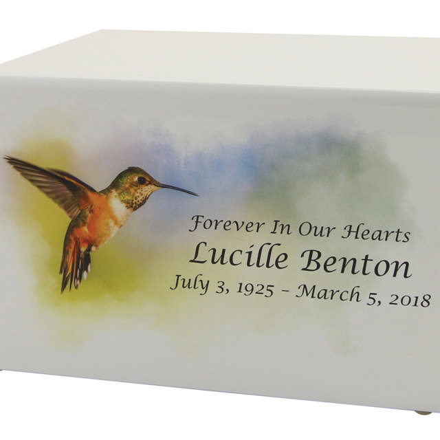 Somerset Hummingbird