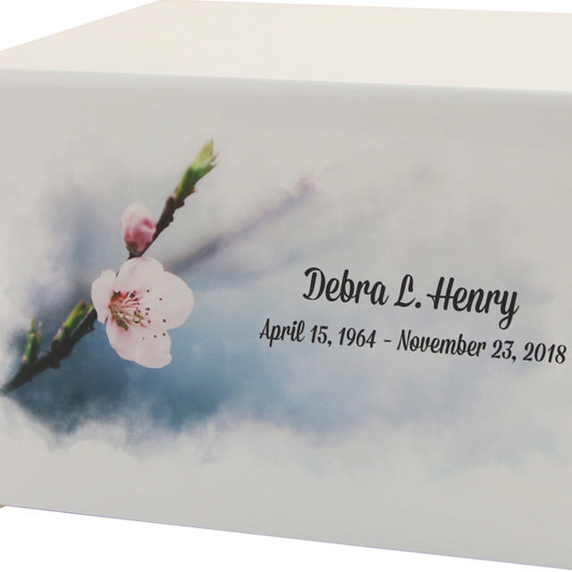 Somerset Cherry Blossoms