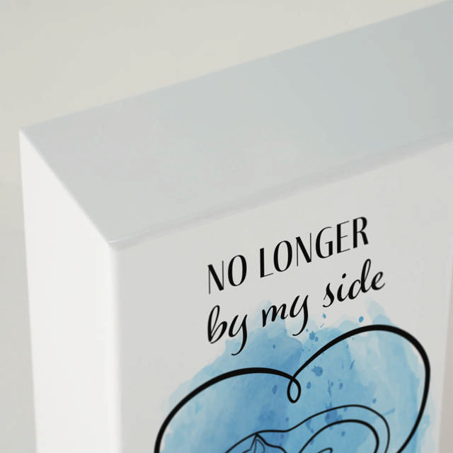 Shadowbox Pet Urn Forever Cat Blue