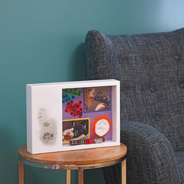 Shadowbox Pet Urn Paws in Sand