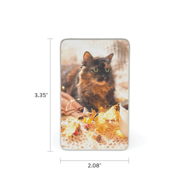 Photo Pet Memorial Card