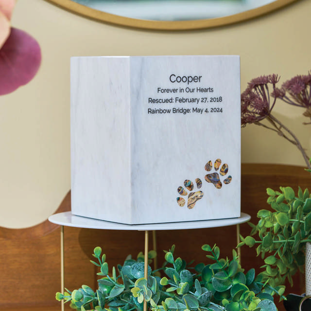 Monumental Memorials Pet Paws Blue Inlay, White