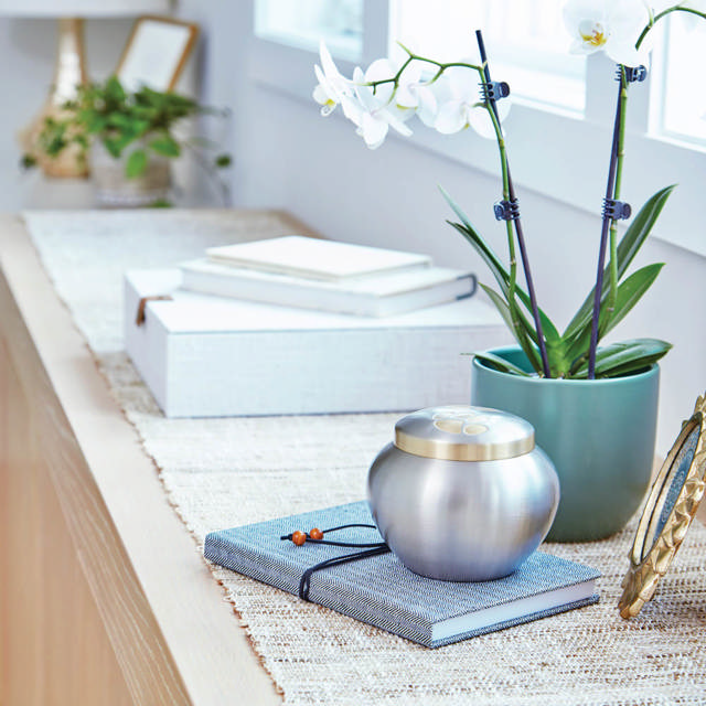 Odyssey® Pewter, Extra Small