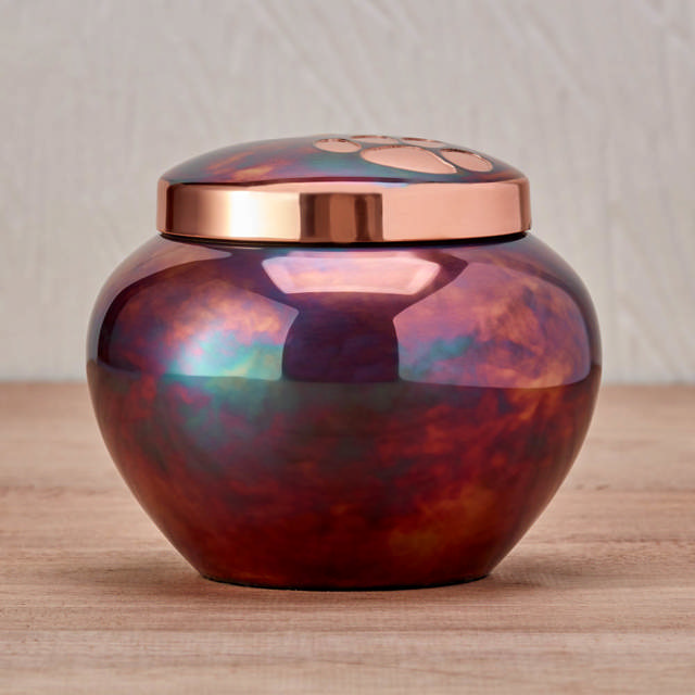 Odyssey® Raku, Extra Small