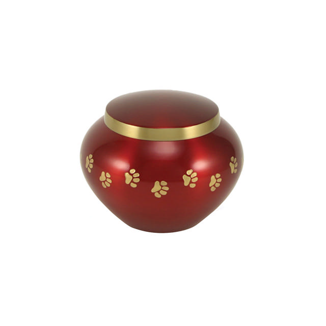 Odyssey® Crimson, Petite