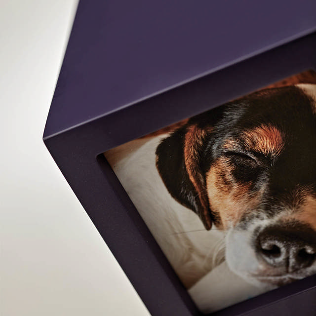 Photo Cube Violet, Extra Small Urn