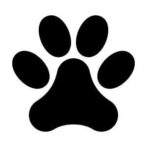 Paw 1