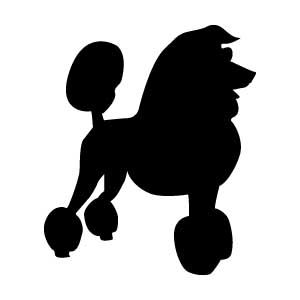 Poodle